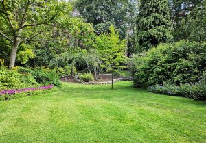Optimiser l'expérience du jardin à Vergt-de-Biron